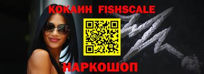 индика Гусев