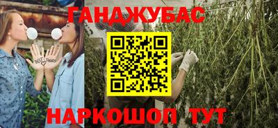 шишки Гусиноозёрск