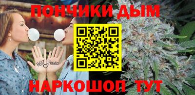 индика Гусев