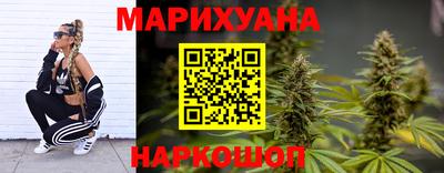 шишки Гусиноозёрск