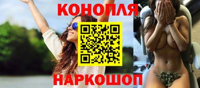 индика Гусев