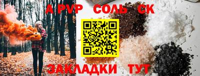 индика Гусев