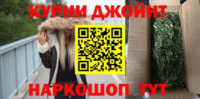 индика Гусев