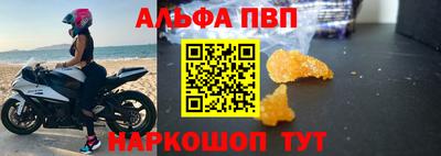 индика Гусев