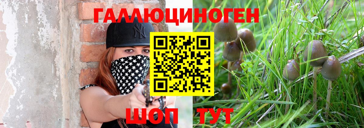 Псилоцибиновые грибы мухоморы  Вход с VPN  Белогорск 