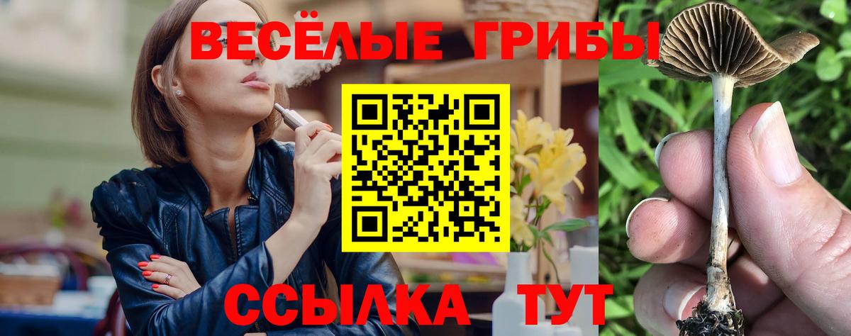 Галлюциногенные грибы Cubensis Белогорск